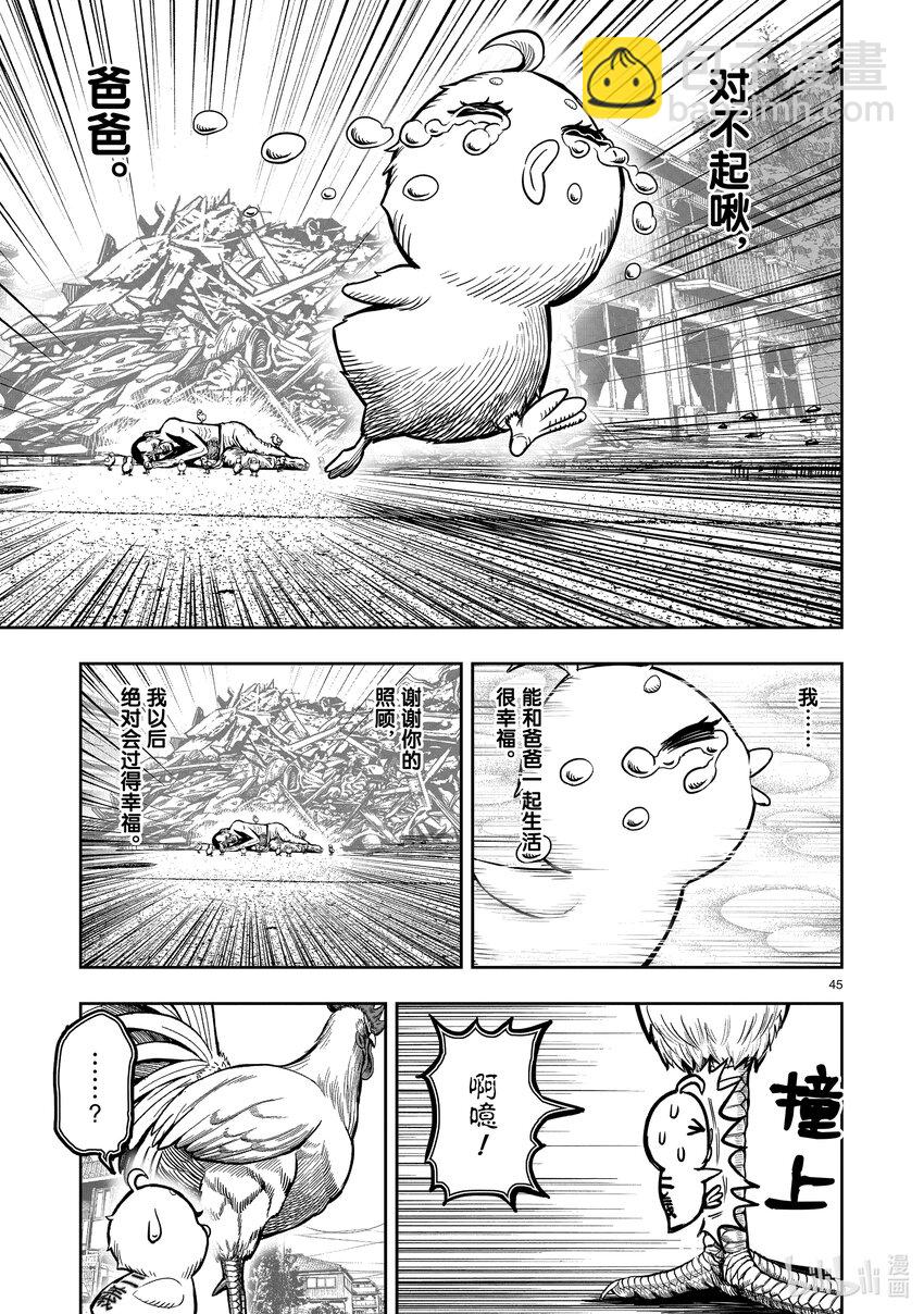 🍴鸡斗士 第5只 四鸟别离 第45页