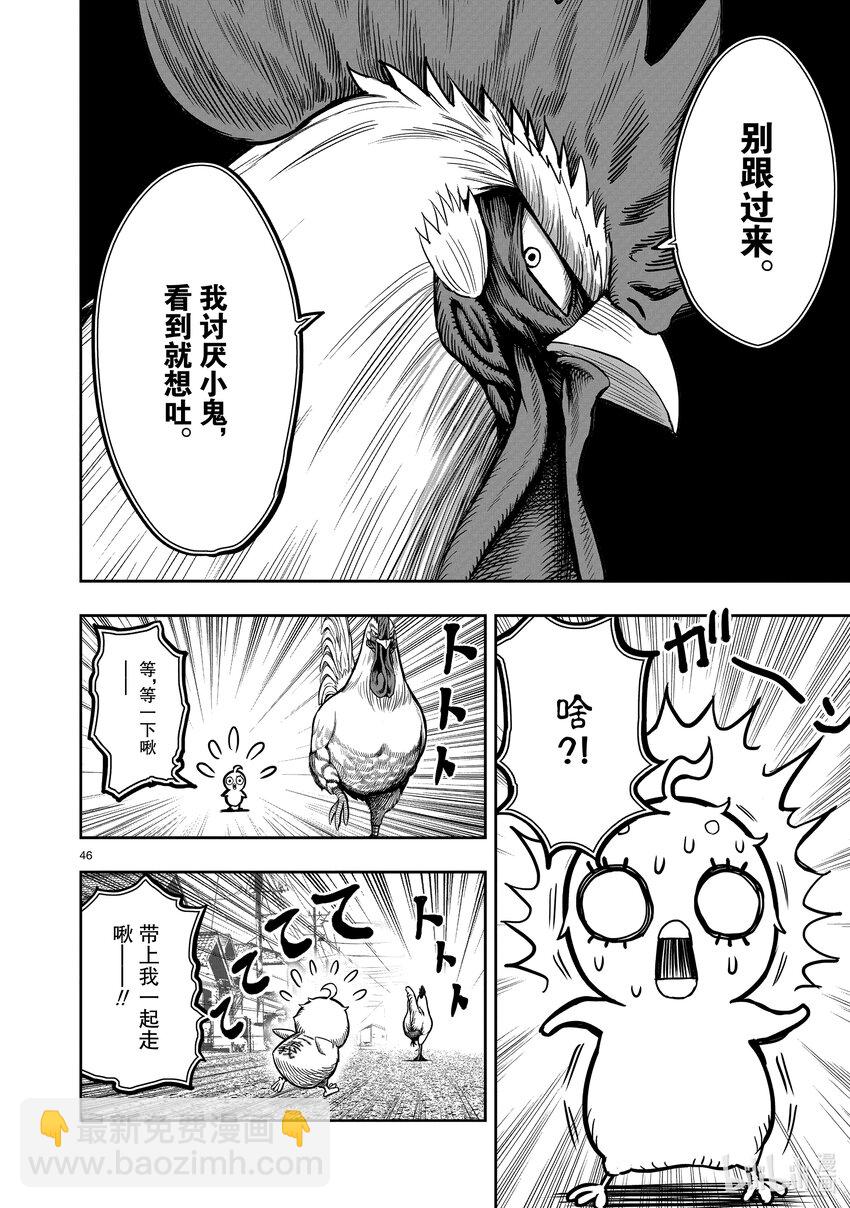 🍴鸡斗士 第5只 四鸟别离 第46页