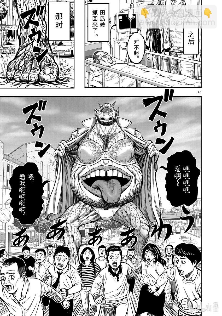 🍴鸡斗士 第5只 四鸟别离 第47页