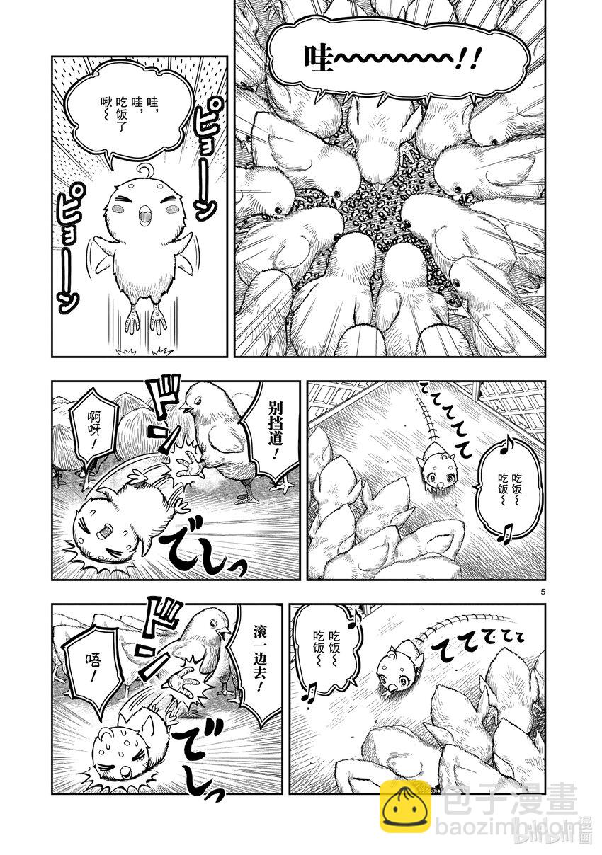 🍴鸡斗士 第5只 四鸟别离 第5页