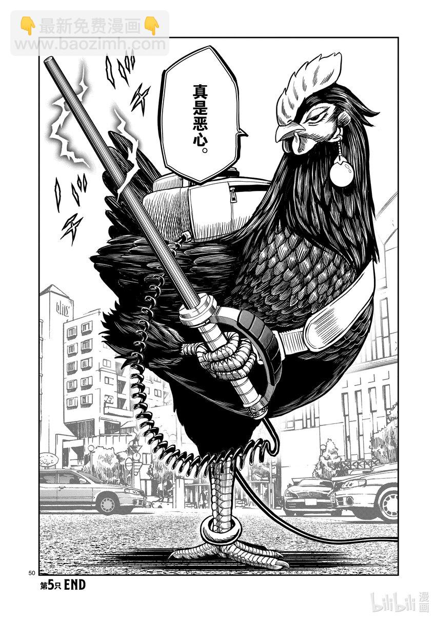 🍴鸡斗士 第5只 四鸟别离 第50页