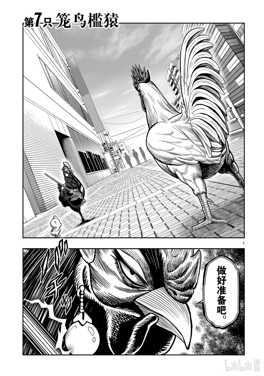 🍴鸡斗士 第7只 笼鸟槛猿 第1页