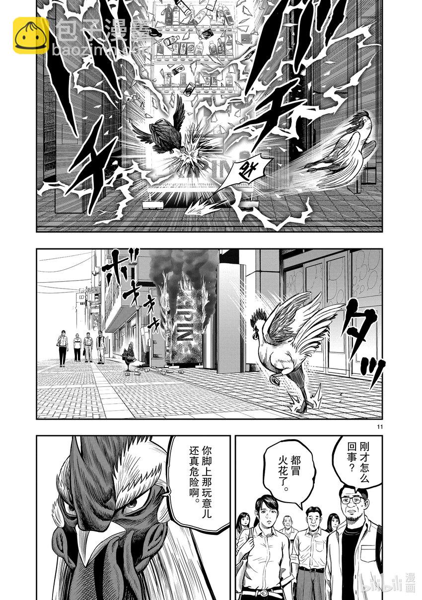 🍴鸡斗士 第7只 笼鸟槛猿 第11页