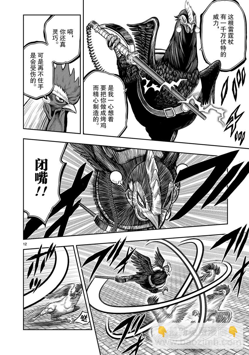 🍴鸡斗士 第7只 笼鸟槛猿 第12页