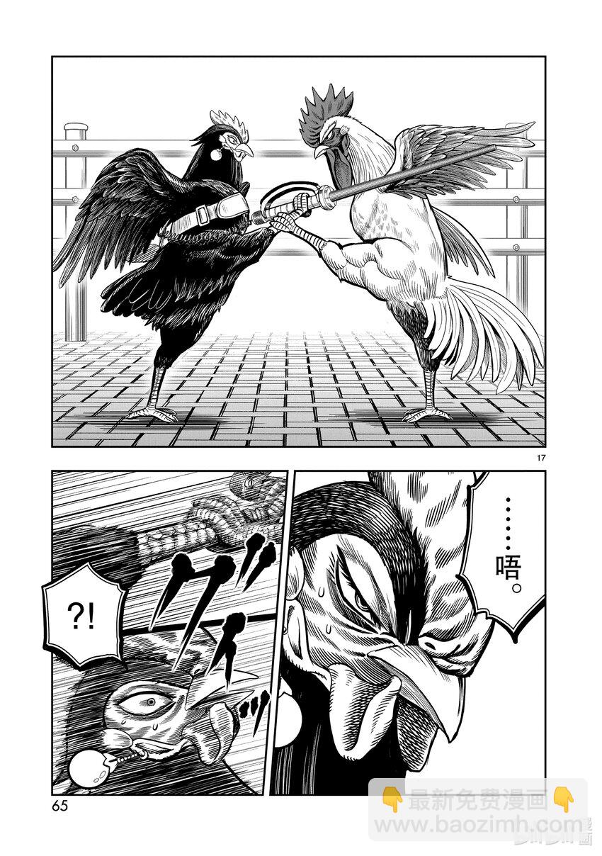 🍴鸡斗士 第7只 笼鸟槛猿 第17页