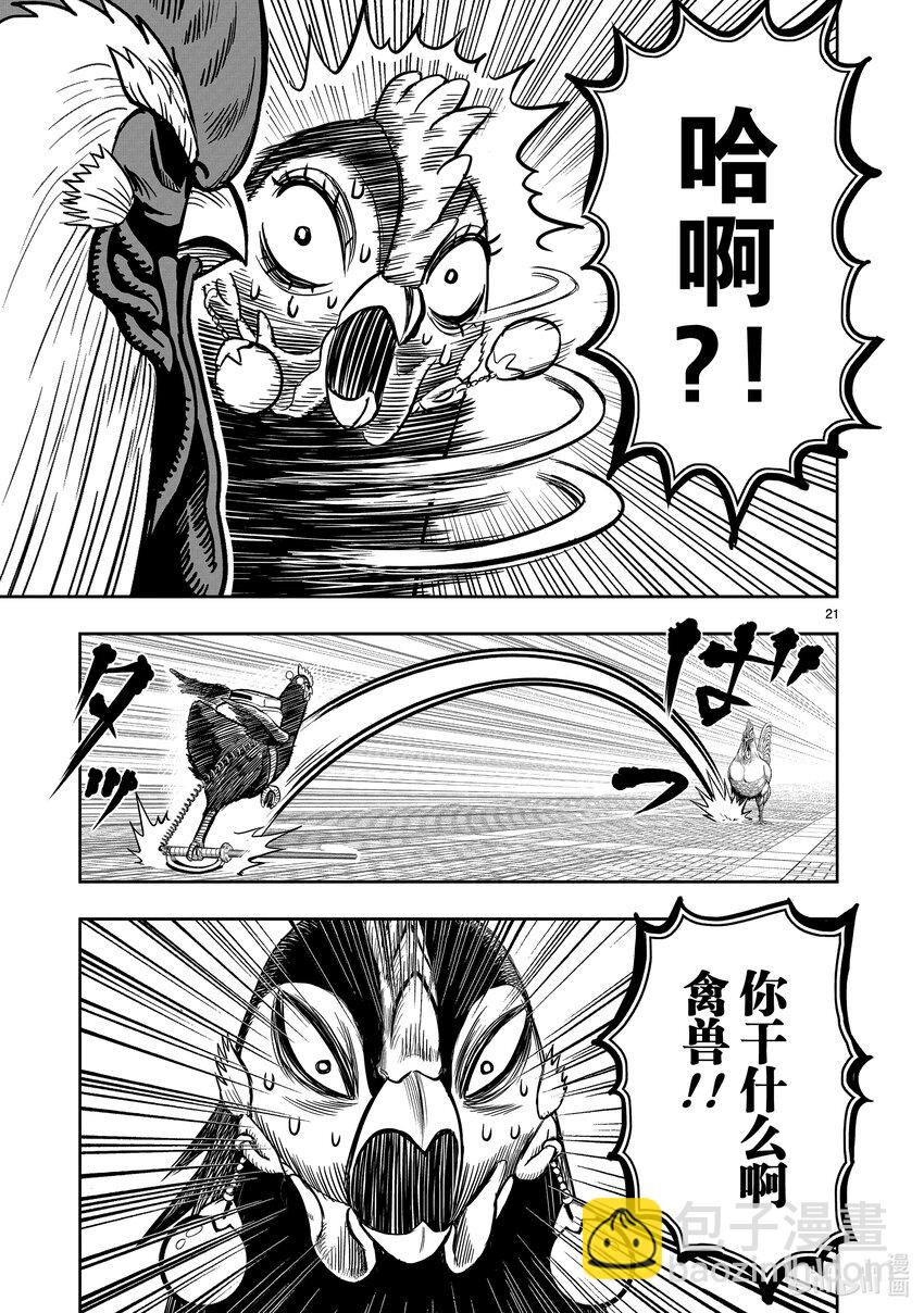 🍴鸡斗士 第7只 笼鸟槛猿 第21页