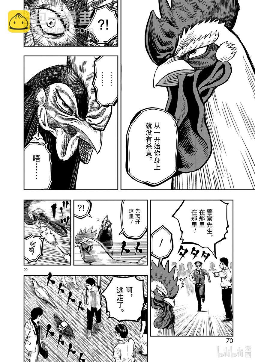 🍴鸡斗士 第7只 笼鸟槛猿 第22页