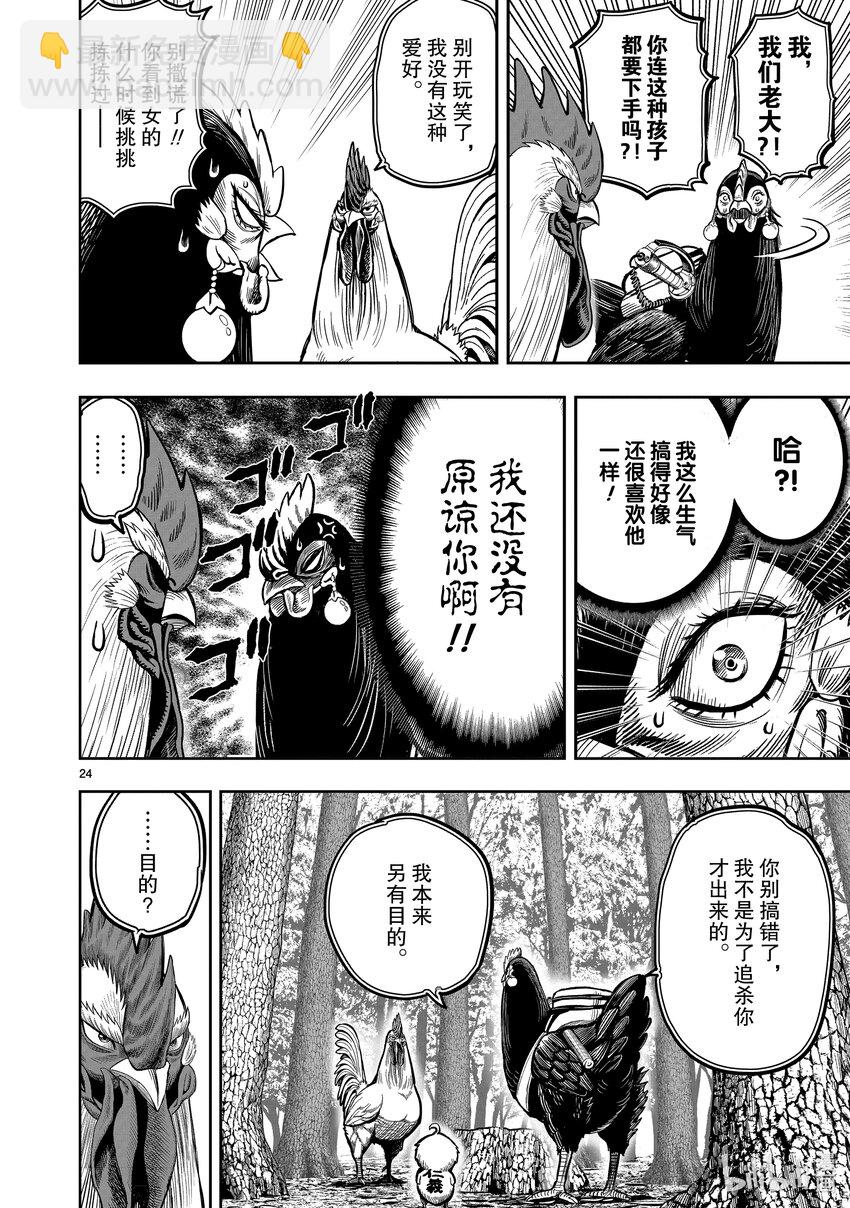 🍴鸡斗士 第7只 笼鸟槛猿 第24页