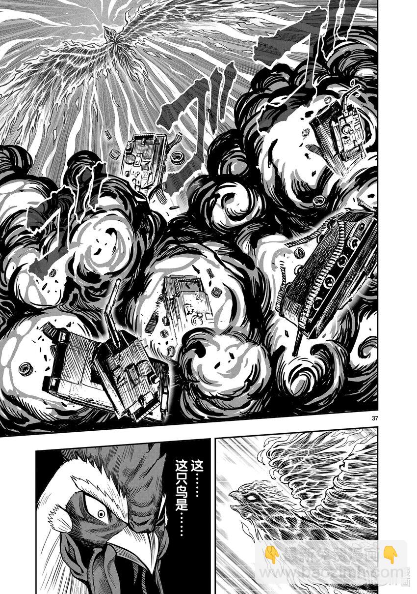 🍴鸡斗士 第7只 笼鸟槛猿 第37页