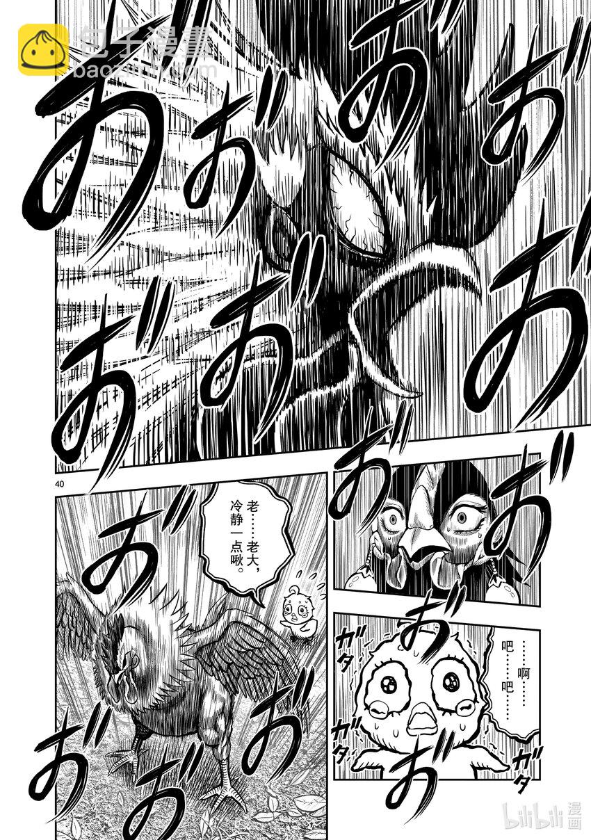 🍴鸡斗士 第7只 笼鸟槛猿 第40页