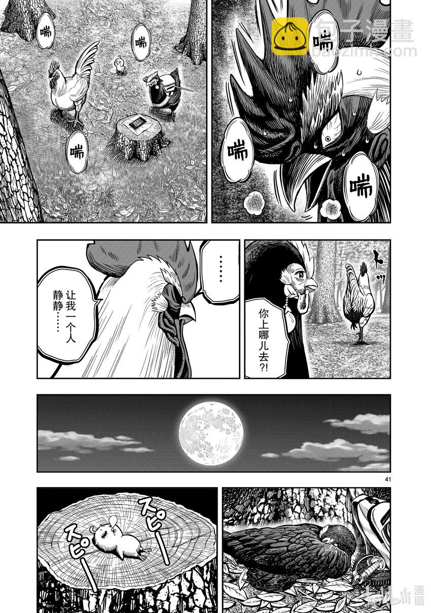 🍴鸡斗士 第7只 笼鸟槛猿 第41页
