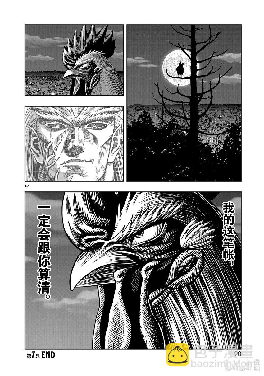 🍴鸡斗士 第7只 笼鸟槛猿 第42页