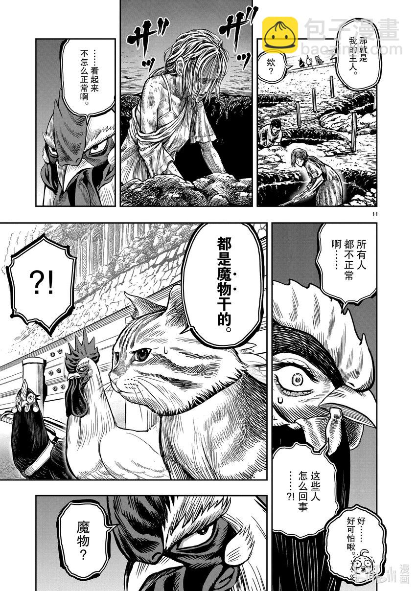 🍴鸡斗士 第9只 禽息鸟视 第11页
