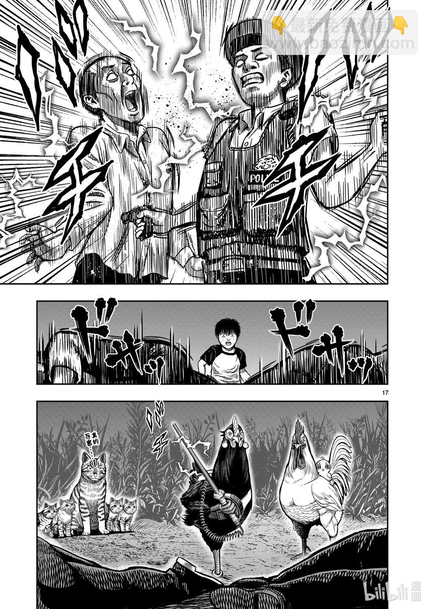 🍴鸡斗士 第9只 禽息鸟视 第17页