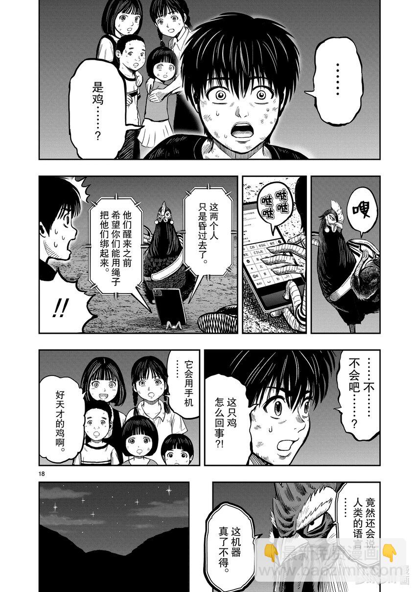 🍴鸡斗士 第9只 禽息鸟视 第18页