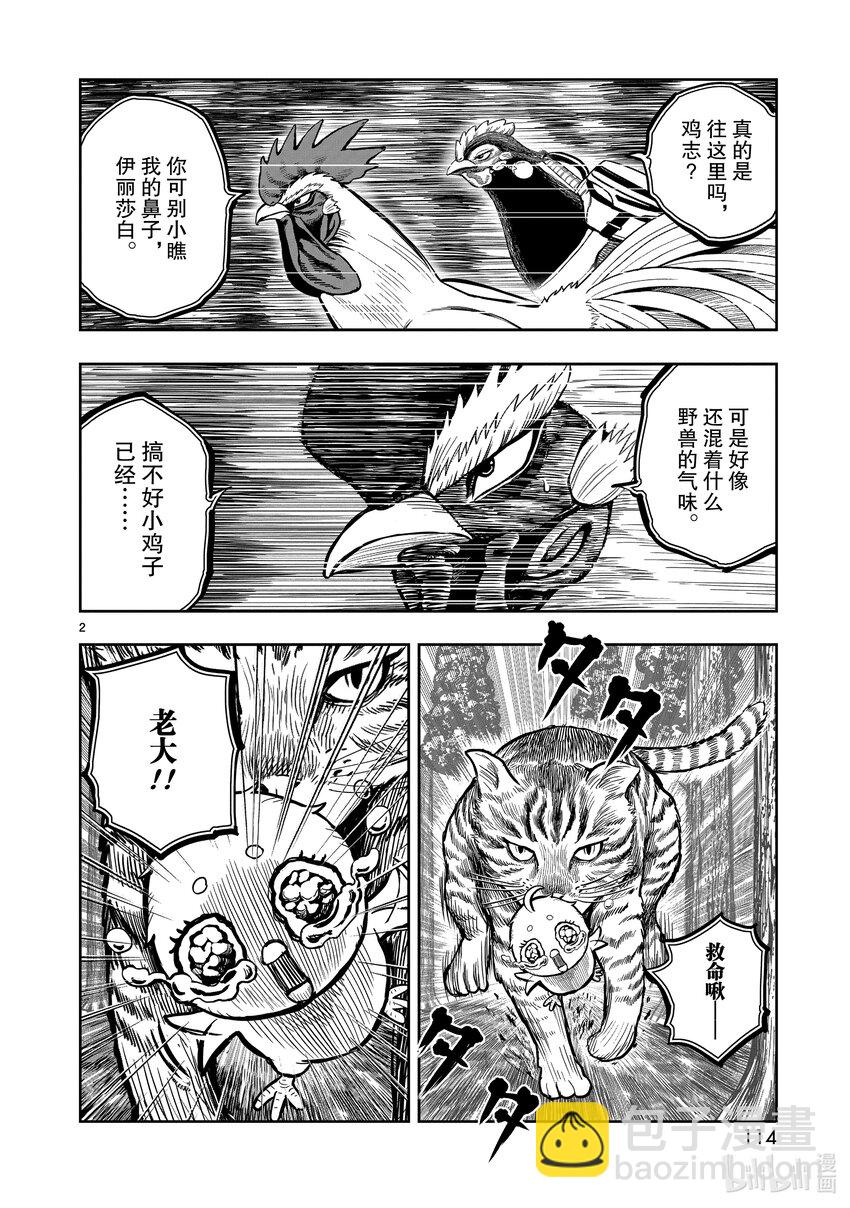 🍴鸡斗士 第9只 禽息鸟视 第2页