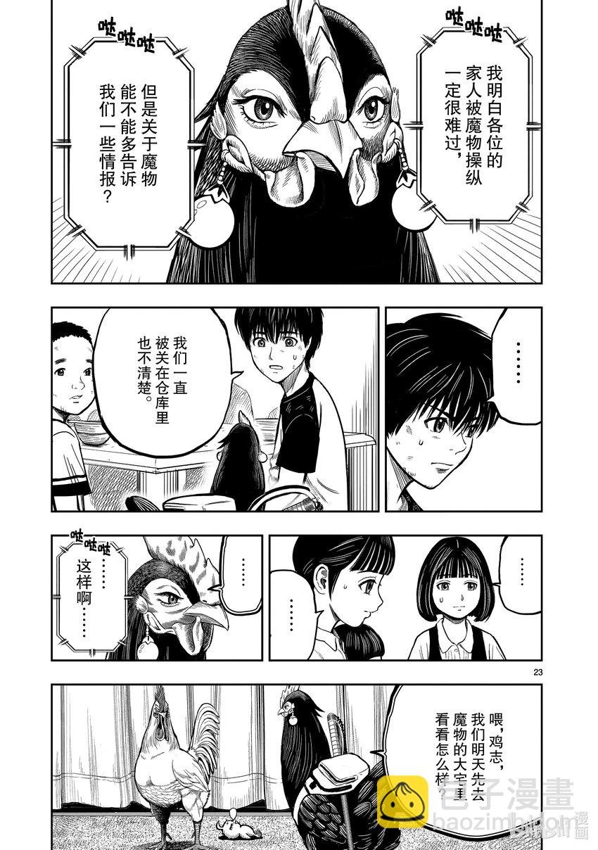 🍴鸡斗士 第9只 禽息鸟视 第23页