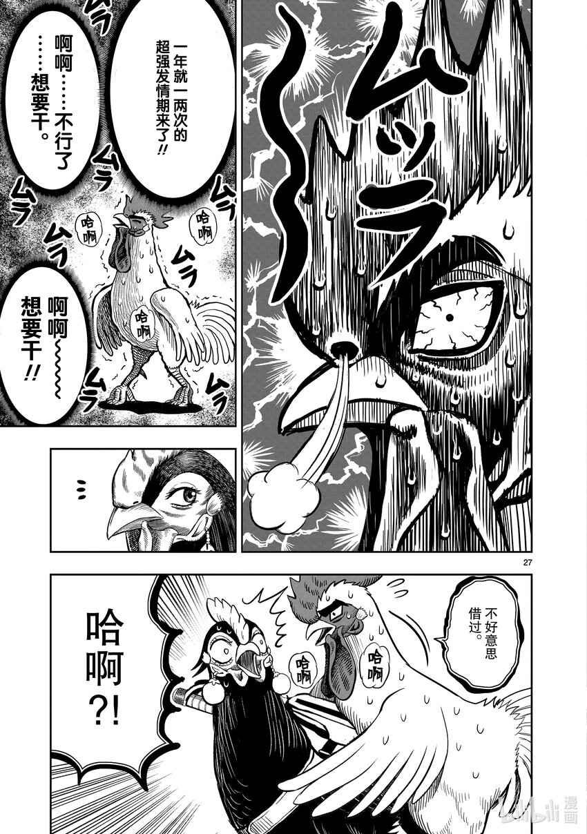 🍴鸡斗士 第9只 禽息鸟视 第27页
