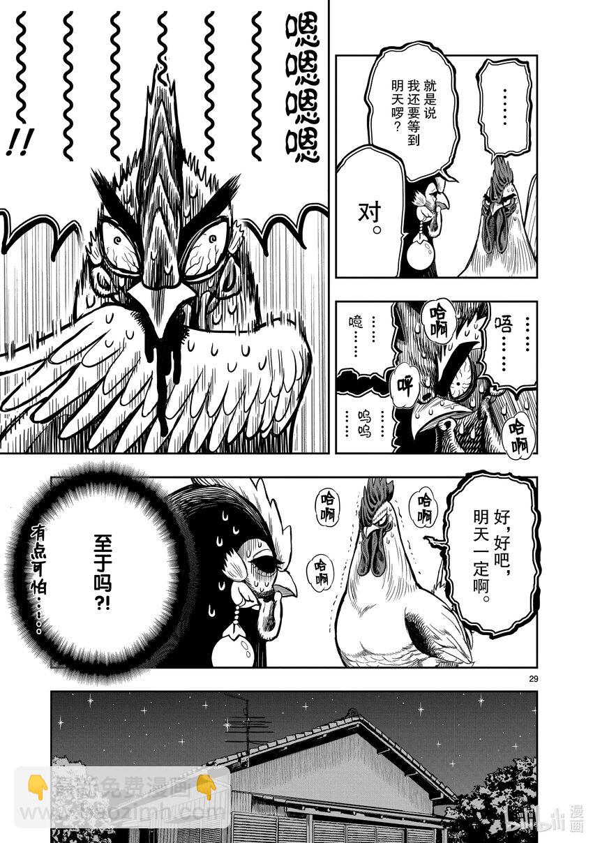 🍴鸡斗士 第9只 禽息鸟视 第29页