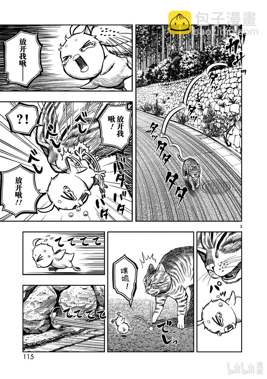 🍴鸡斗士 第9只 禽息鸟视 第3页