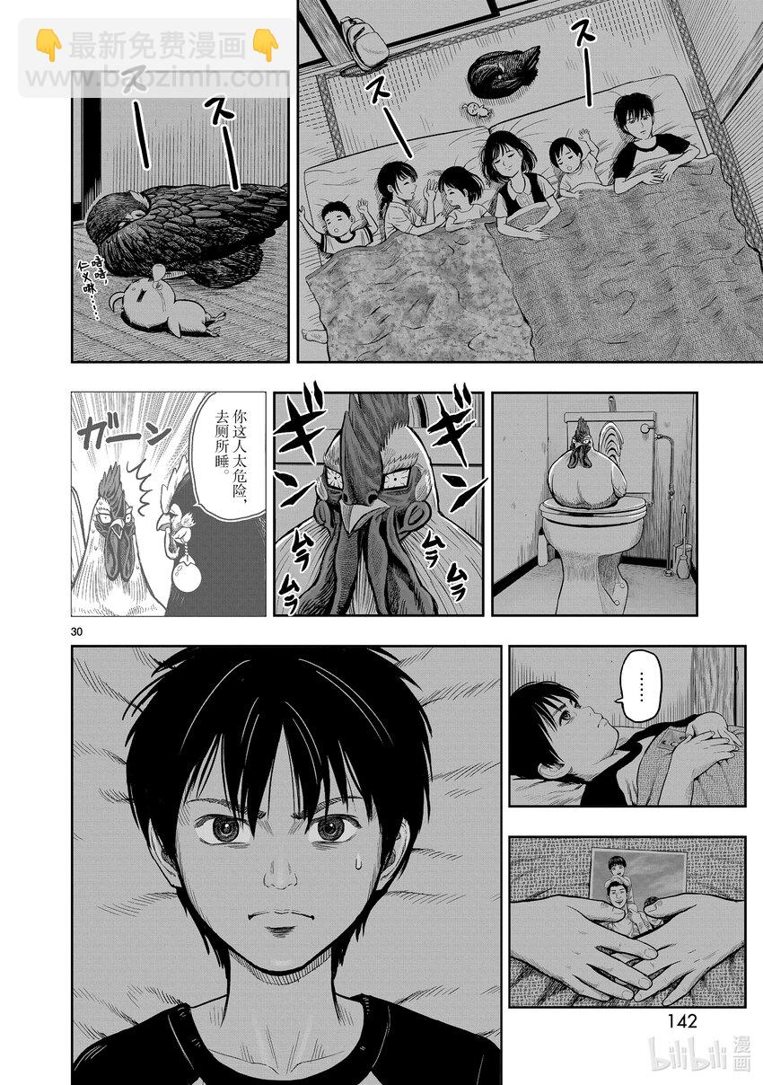 🍴鸡斗士 第9只 禽息鸟视 第30页