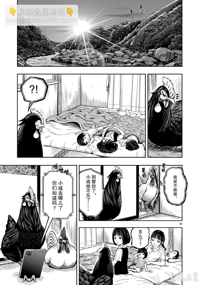 🍴鸡斗士 第9只 禽息鸟视 第31页