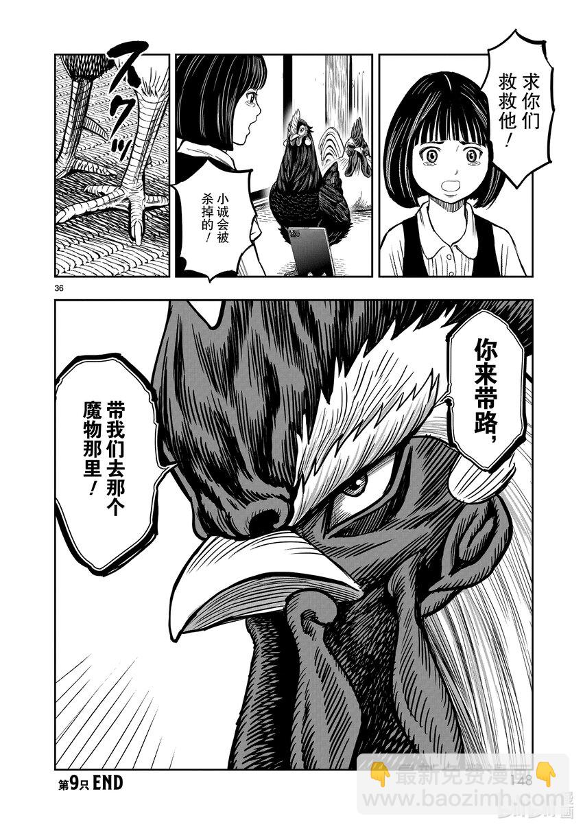 🍴鸡斗士 第9只 禽息鸟视 第36页