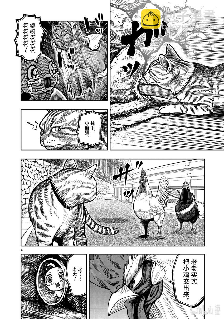 🍴鸡斗士 第9只 禽息鸟视 第4页