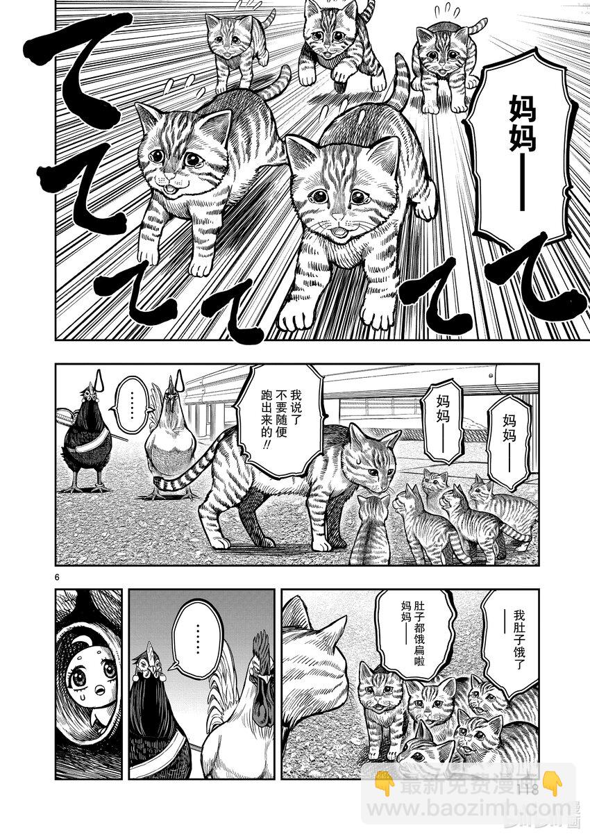 🍴鸡斗士 第9只 禽息鸟视 第6页