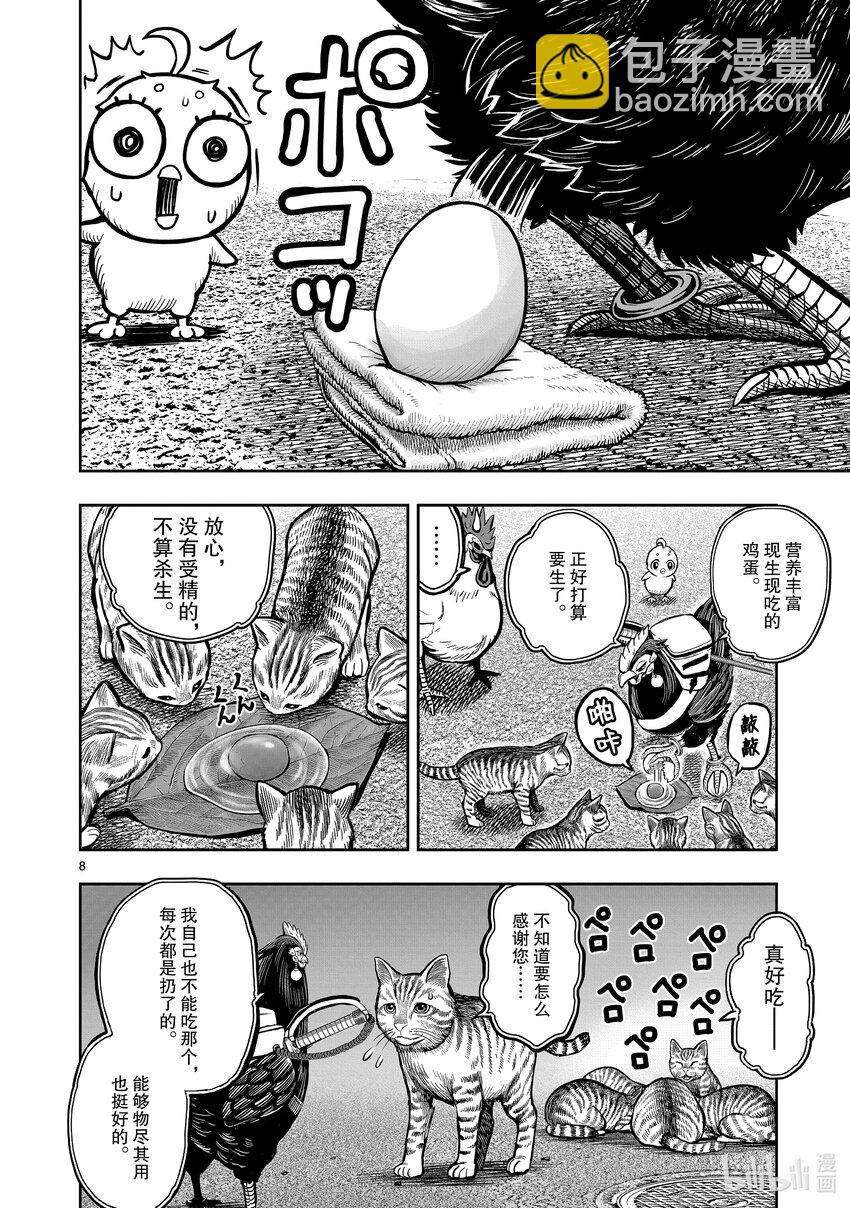 🍴鸡斗士 第9只 禽息鸟视 第8页