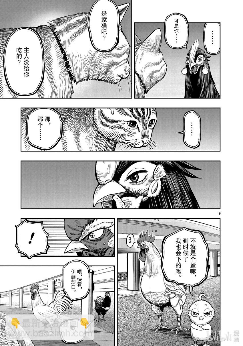 🍴鸡斗士 第9只 禽息鸟视 第9页