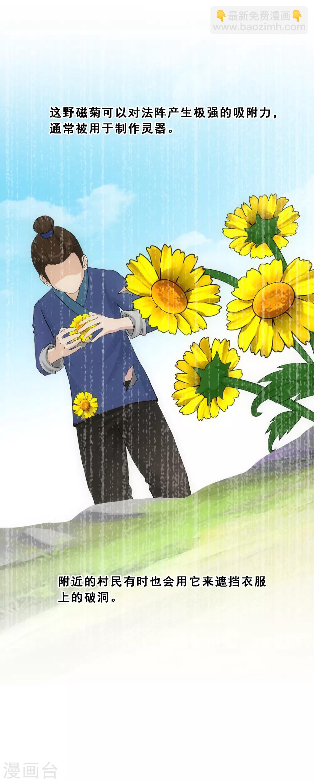 第163话 野磁菊-第173话
