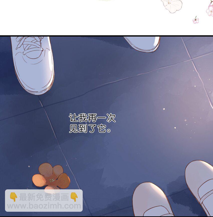 第37话 再一次的相遇-第39话