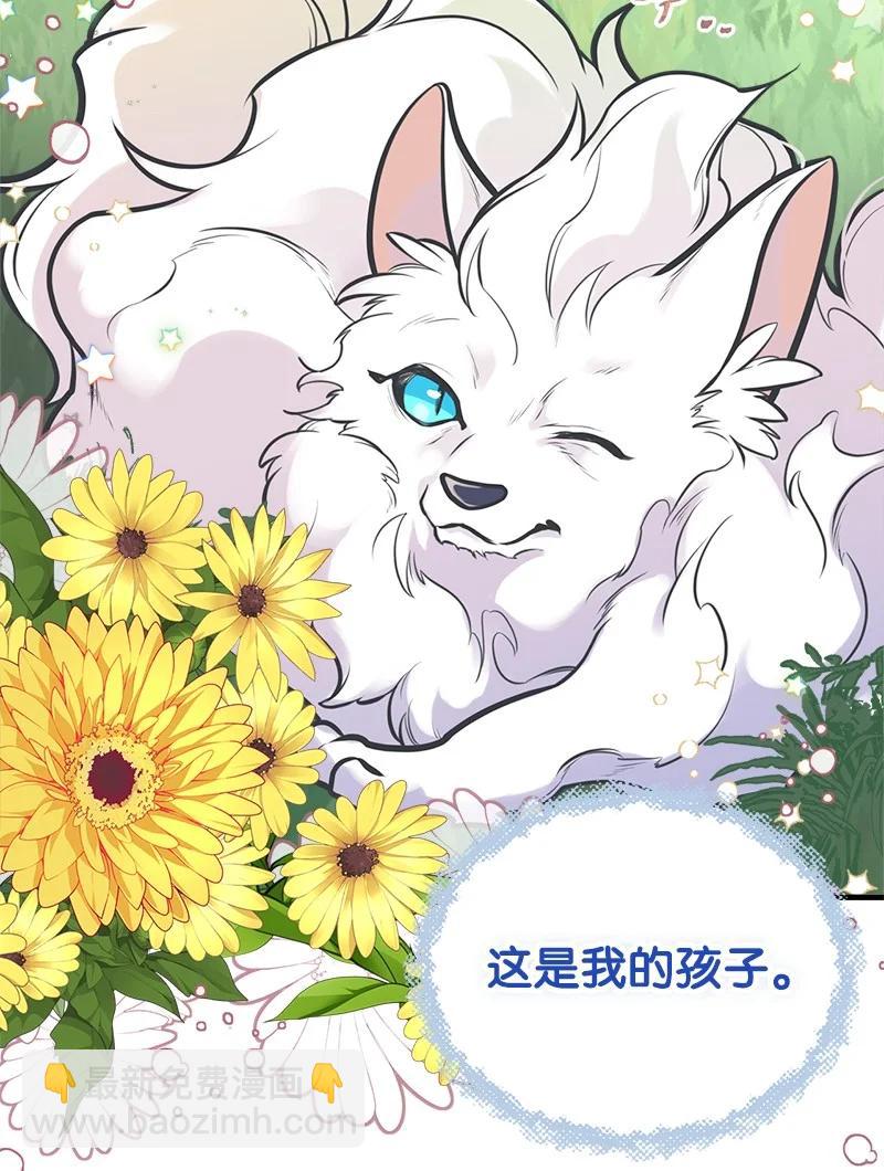 51 与帕尔的契约(1/2)-第51话