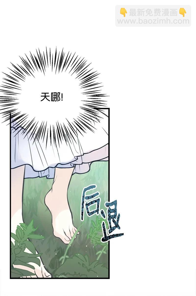 51 与帕尔的契约(1/2)-第51话