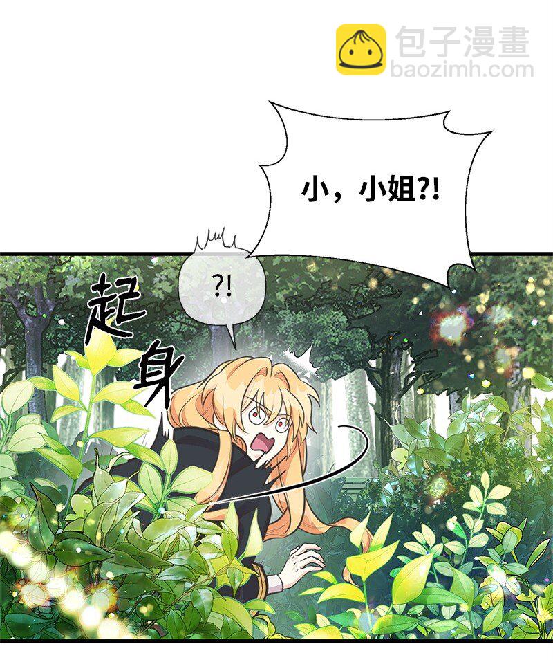 67 公女的另一面(1/2)-第67话