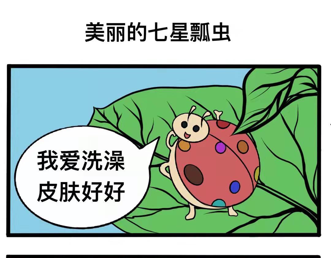 🍴杰克的冒险故事 美丽的七星瓢虫和蘑菇房子 第1页