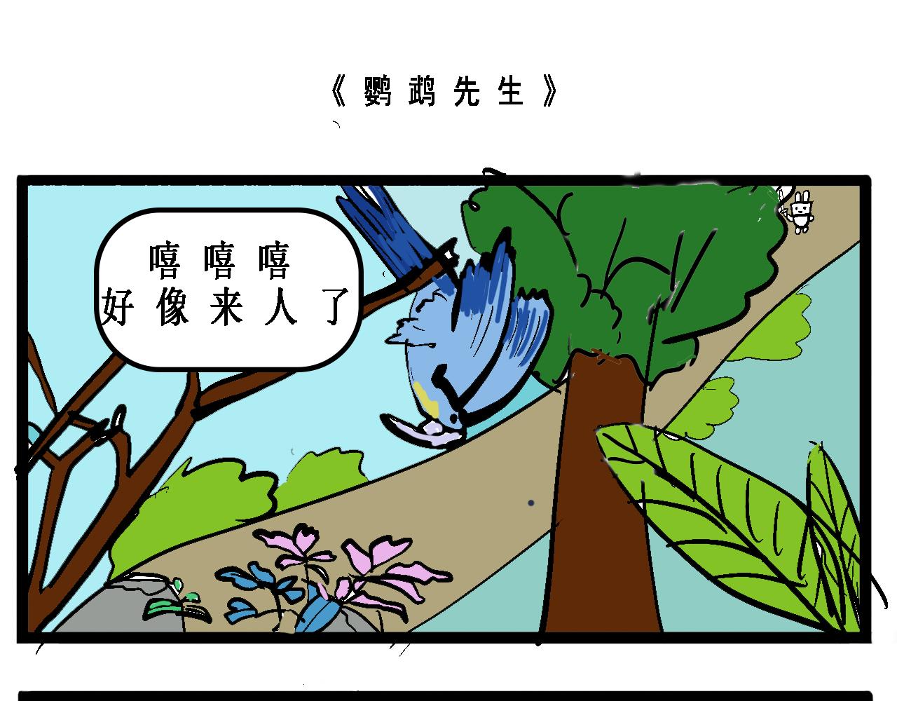 🍴杰克的冒险故事 鹦鹉先生和自恋的火烈鸟 第1页