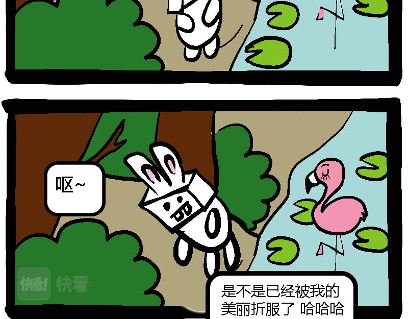 🍴杰克的冒险故事 鹦鹉先生和自恋的火烈鸟 第11页