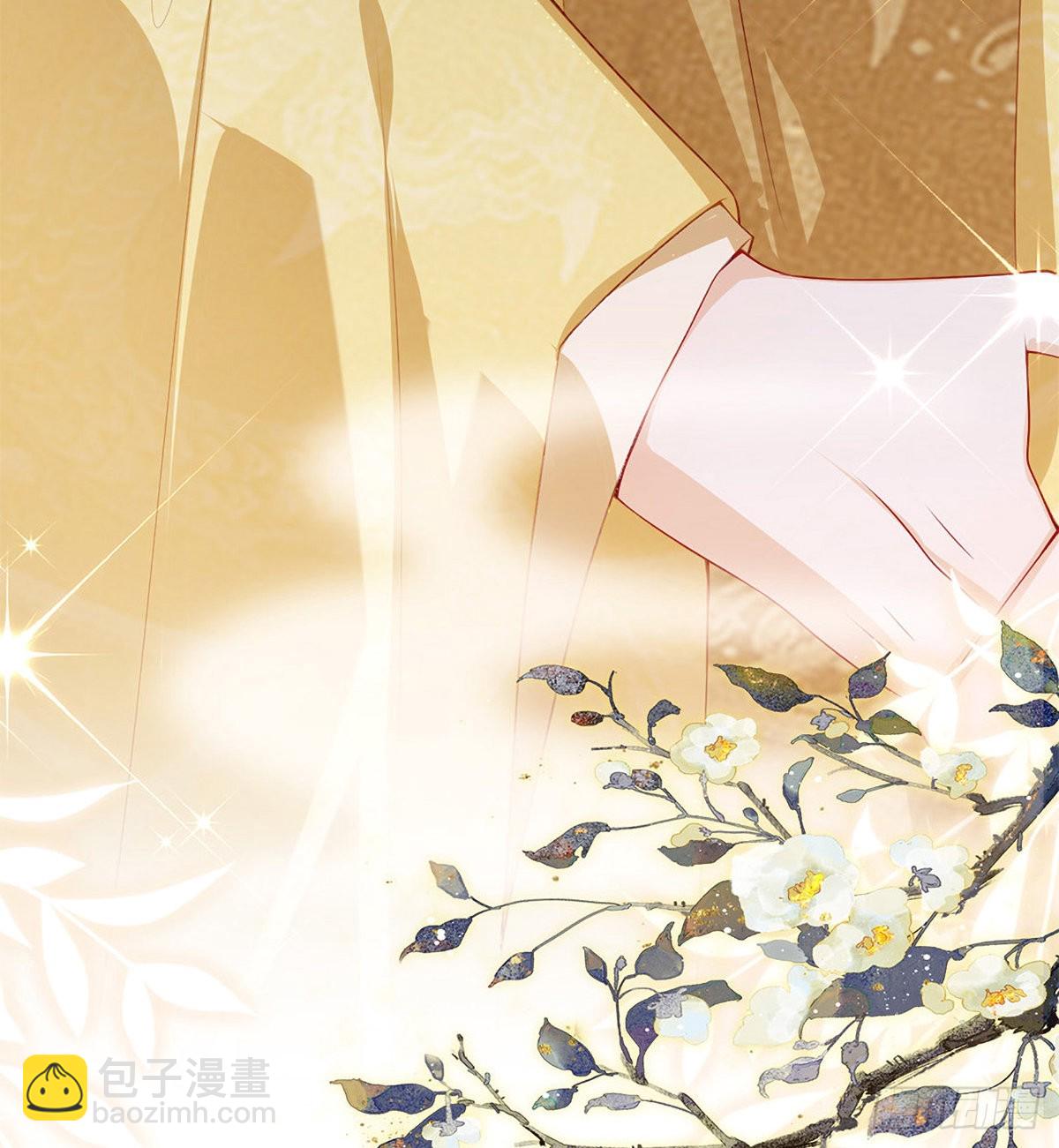 立储大典(1/2)-第73话