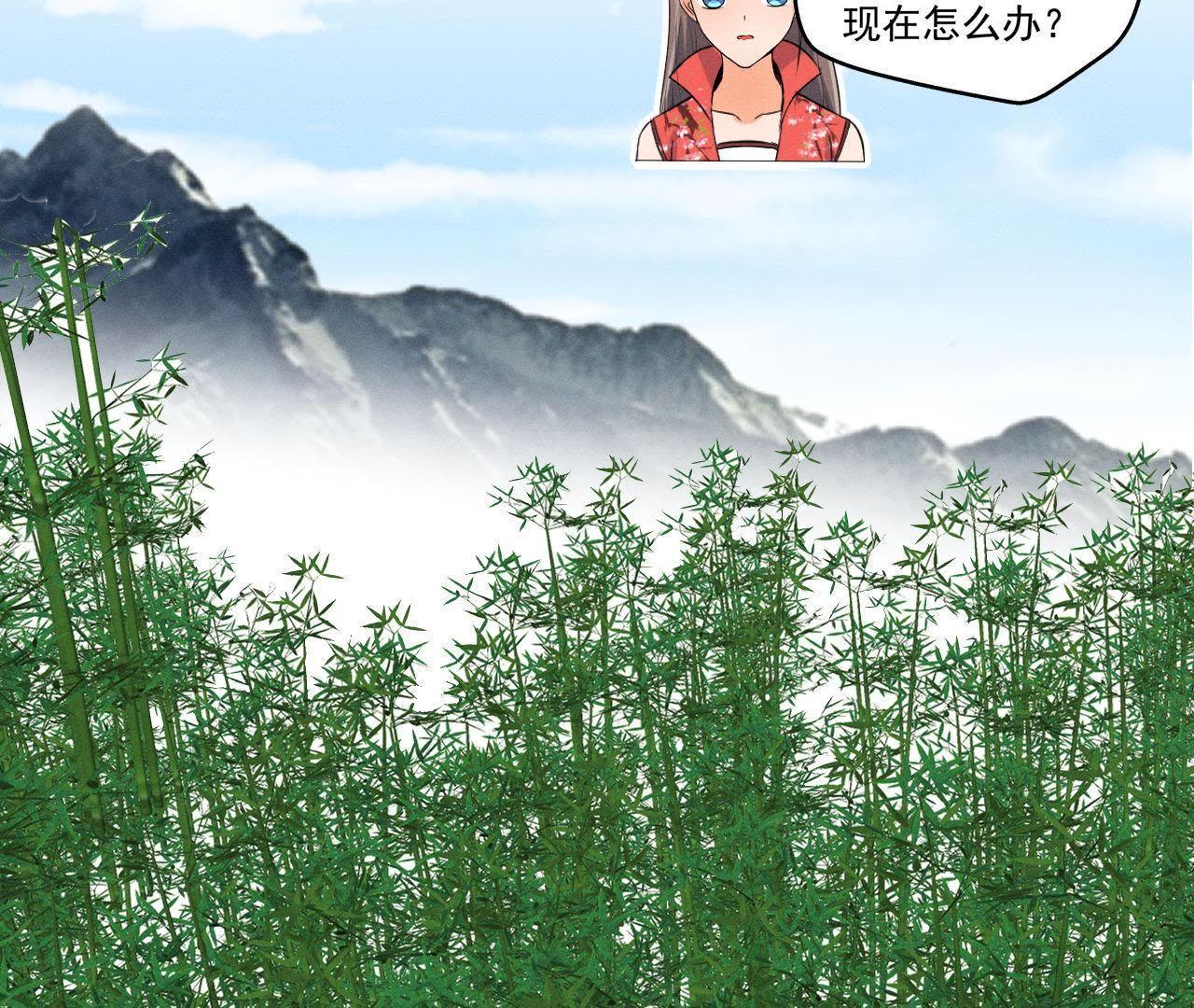 第24话 沈天禄的绝技-第25话