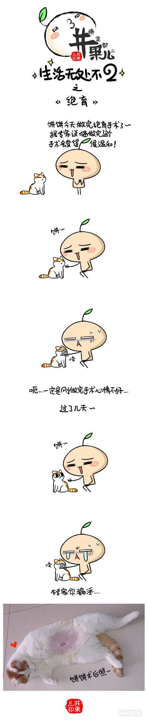 265.训练有素/266.绝育-第215话