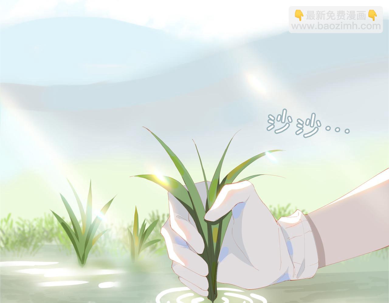 第35话 一起回乡(1/2)-第117话
