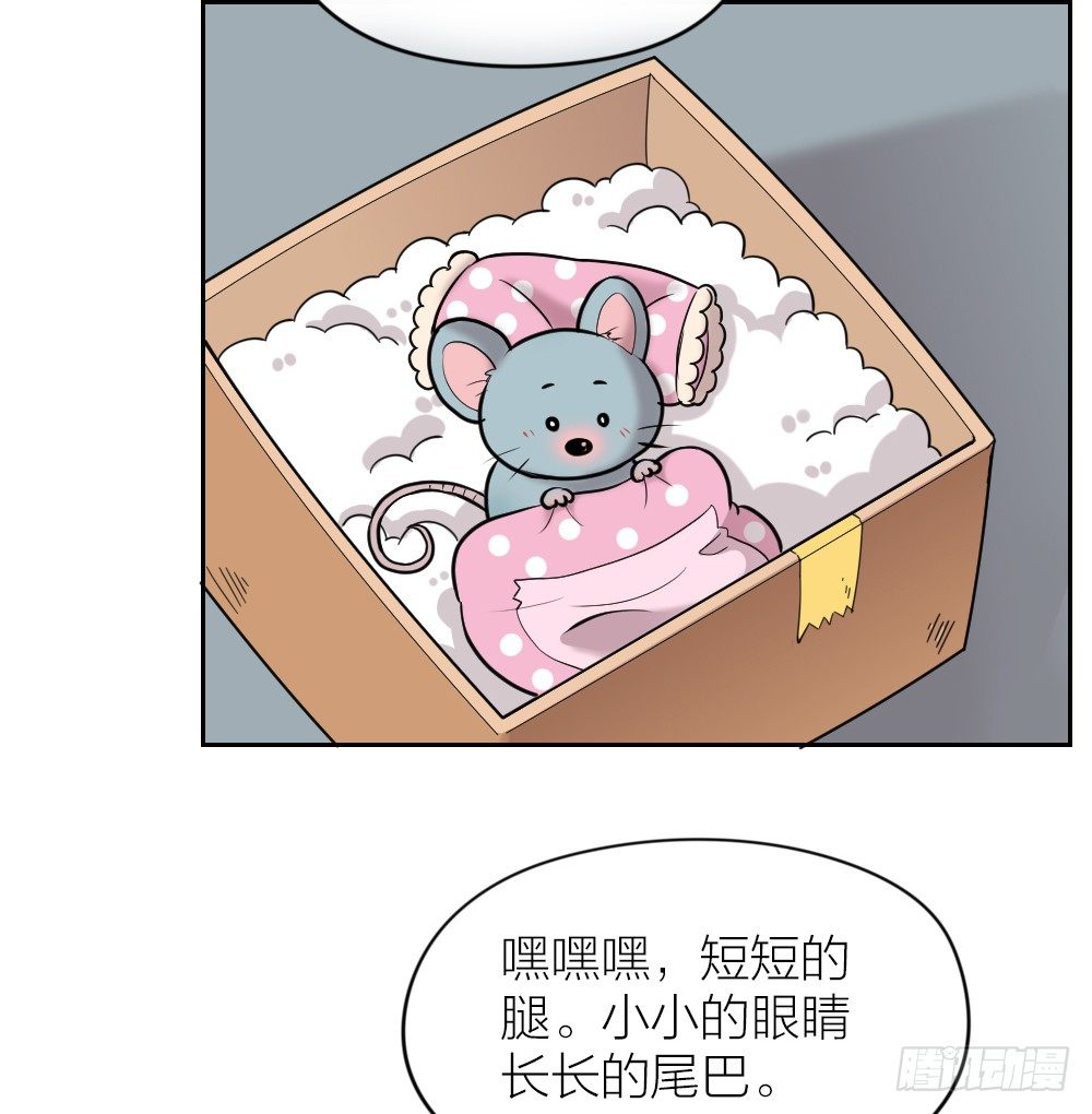 你是我捧在掌心的珍宝~-第15话