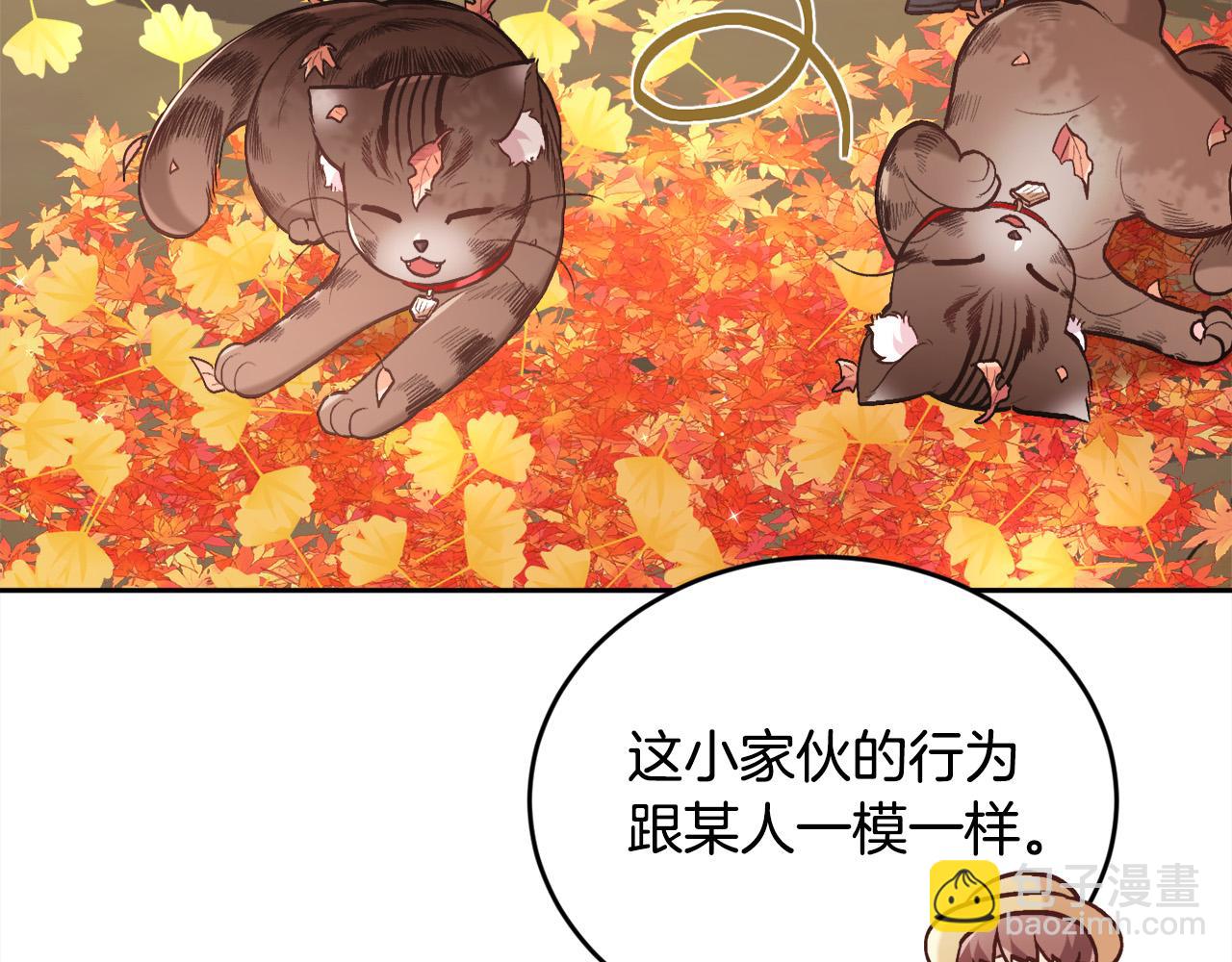 🍴精灵团宠小千金 第140话 订婚仪式 第23页