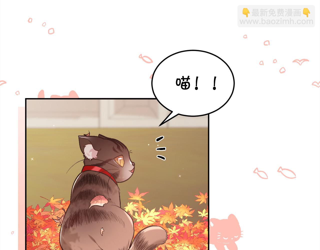 🍴精灵团宠小千金 第140话 订婚仪式 第30页