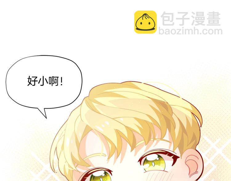 🍴精灵团宠小千金 第2话 集万千宠爱于一身 第19页