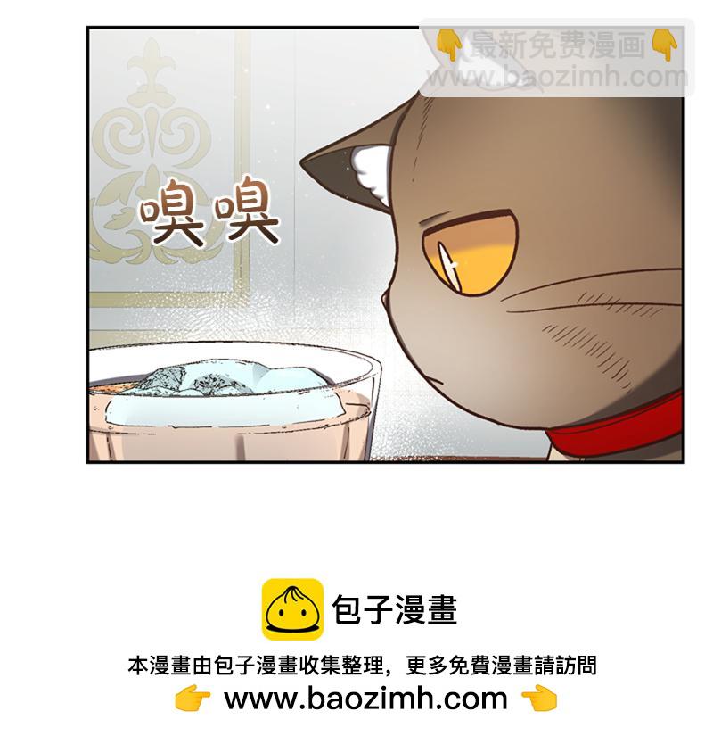 🍴精灵团宠小千金 第221话 平胸风波 第50页