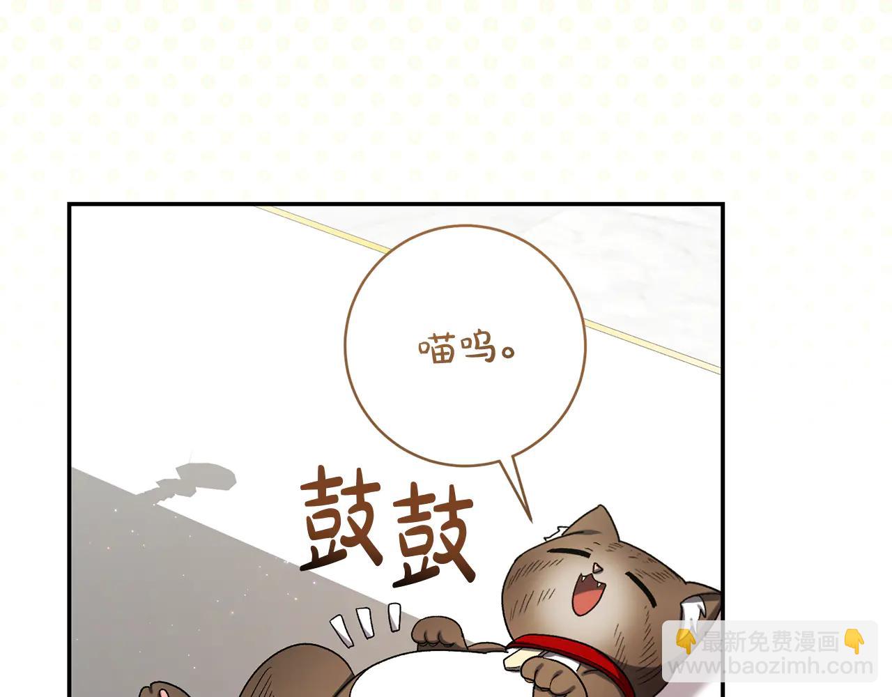 🍴精灵团宠小千金 第233话 潜入骑士学校 第27页