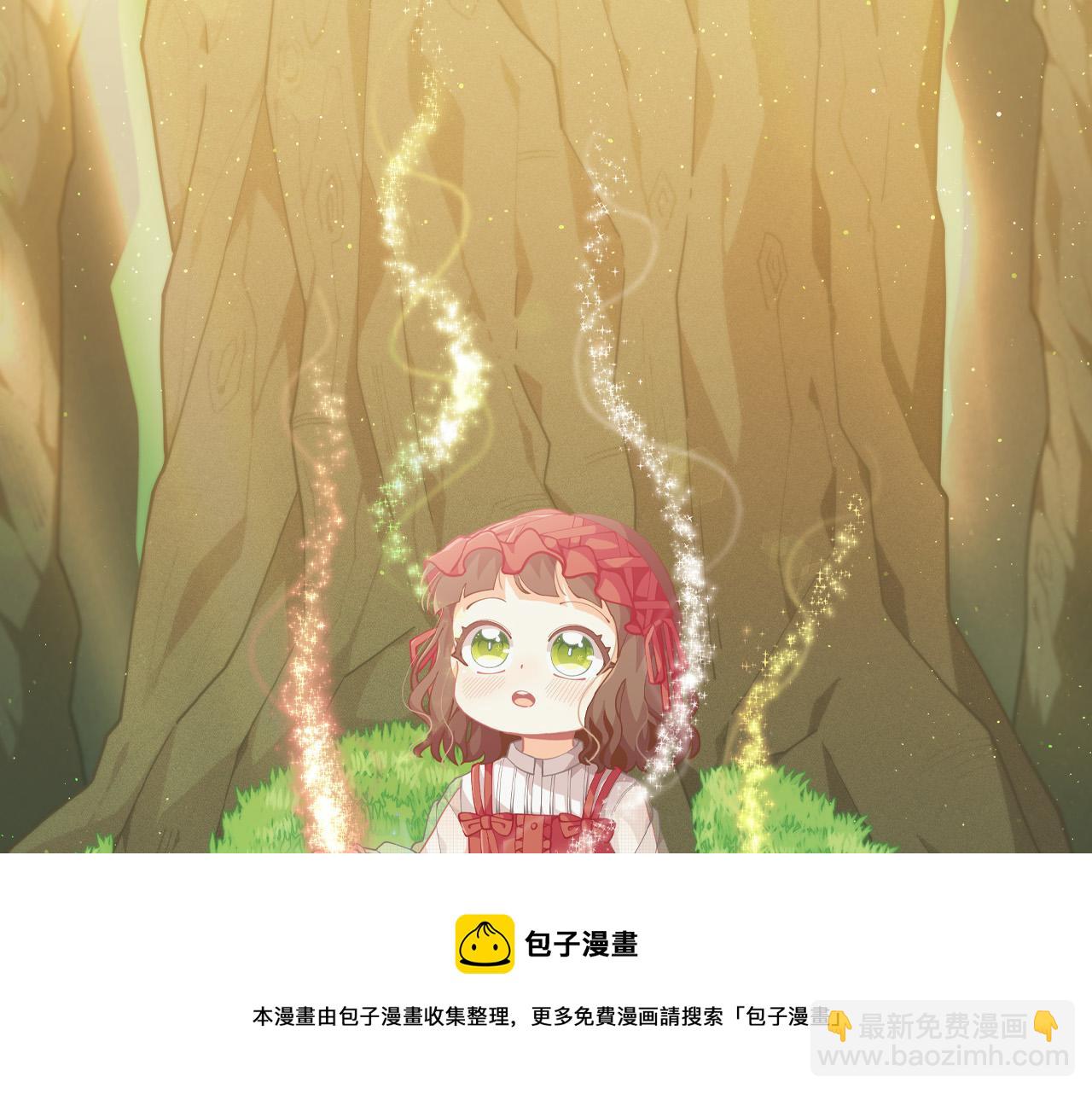 🍴精灵团宠小千金 第78话 神奇动物 第13页
